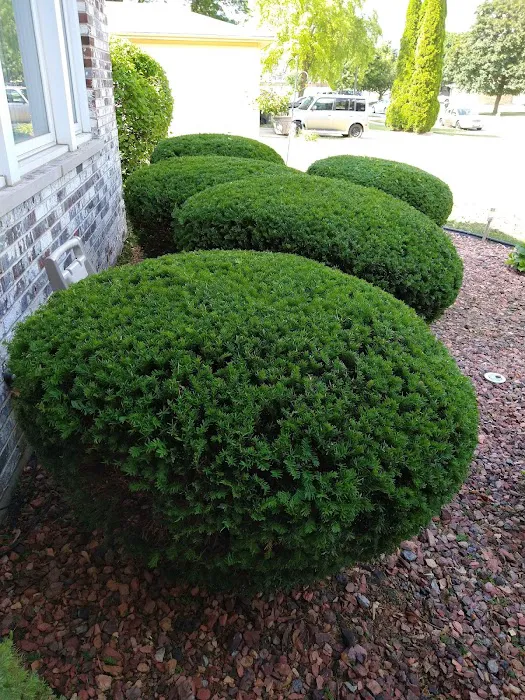 Edson Landscaping Picture 1