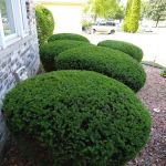 Edson Landscaping