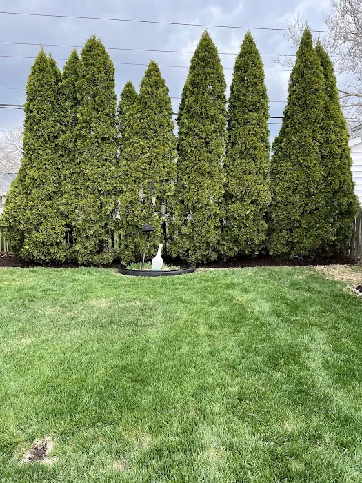 Edson Landscaping Picture 3