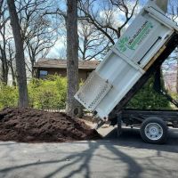We-Mulch.com ico