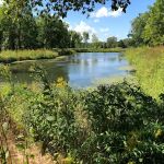 Gary R Weber Associates Inc