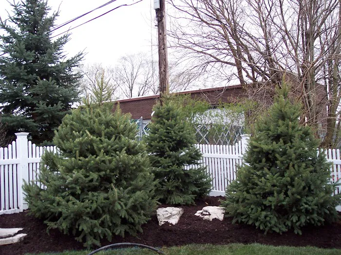 My Landscape Contractor Picture 4
