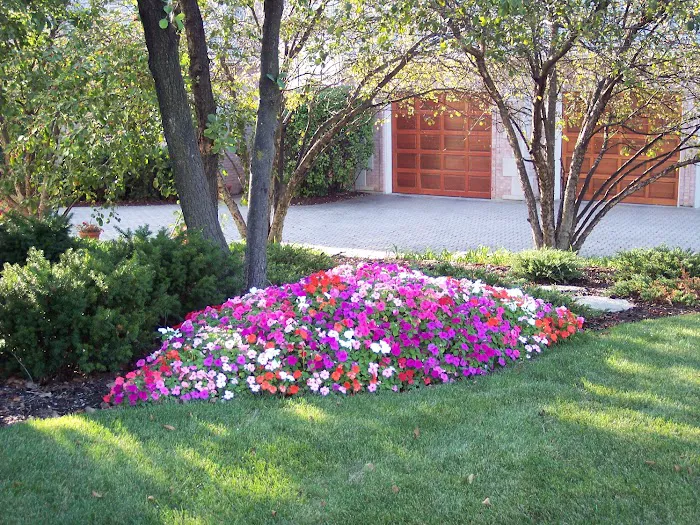 My Landscape Contractor Picture 7