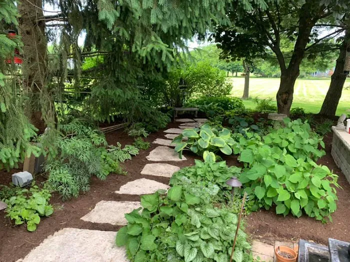 Brookdale Landscaping, Inc. Picture 5