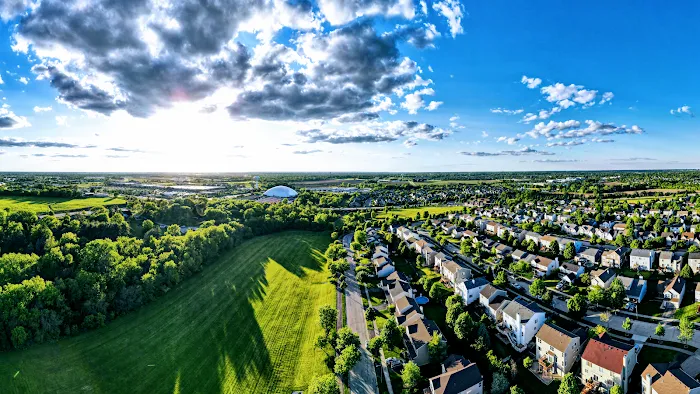 Local Lawn Care & Landscaping Picture 4