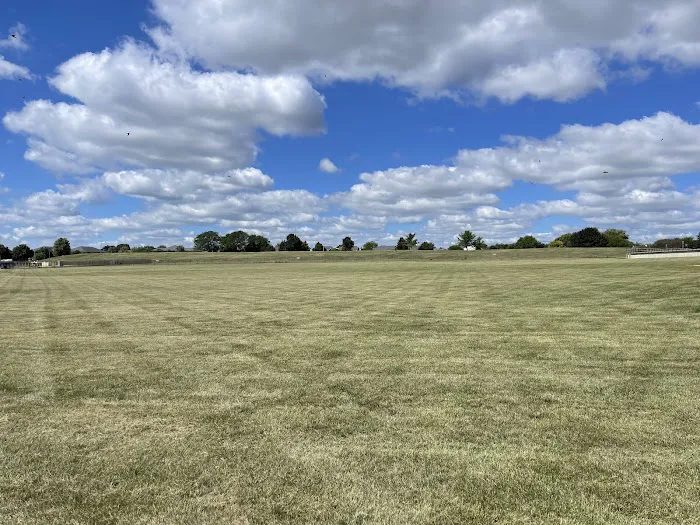 Local Lawn Care & Landscaping Picture 5