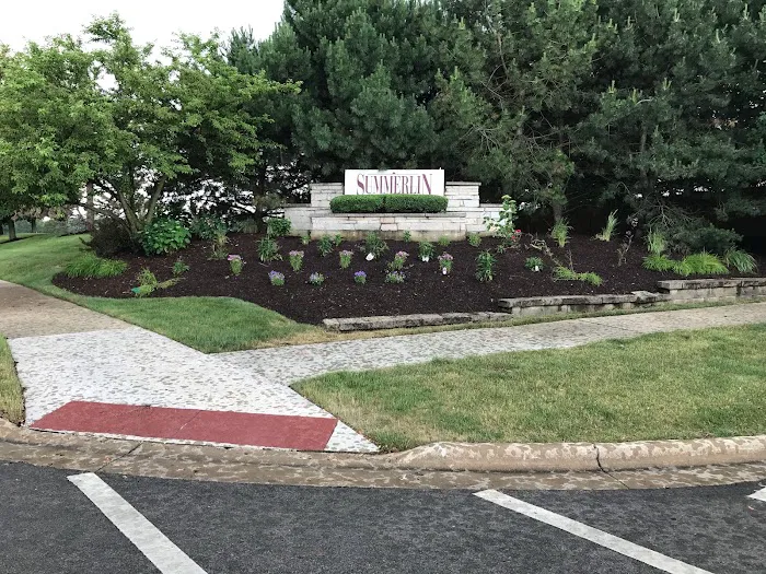 Local Lawn Care & Landscaping Picture 8