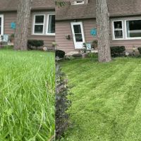 Patws Lawn Care Of New Lenox ico