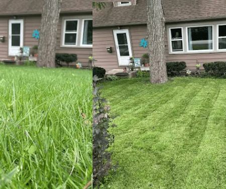 Patws Lawn Care Of New Lenox