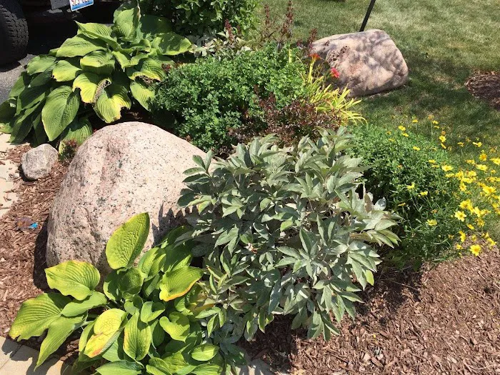 Green Effects Landscaping Picture 5
