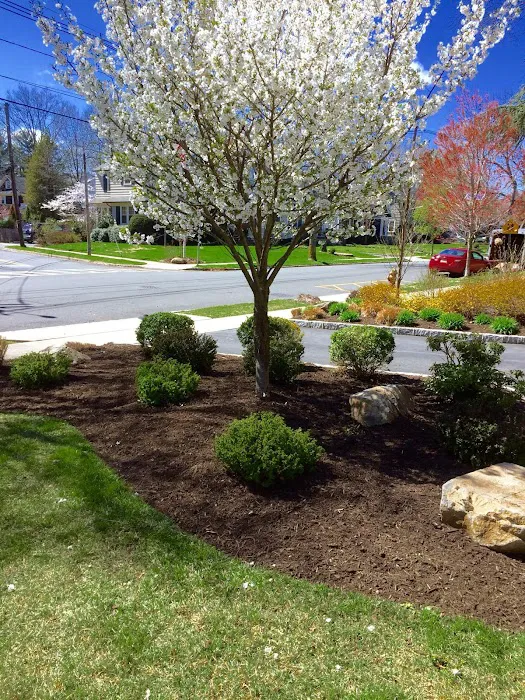 Green Effects Landscaping Picture 7