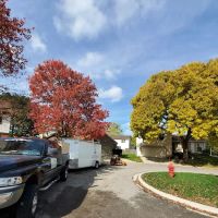 BNL Landscaping LLC. ico