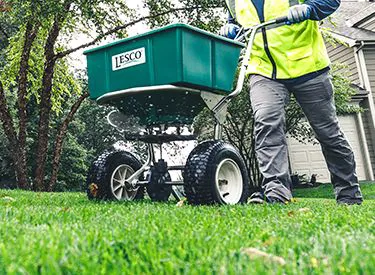 ROCKVALLEY LANDSCAPING AND LAWN CARE Picture 3