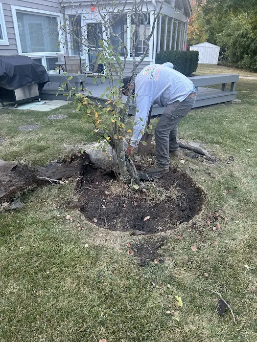 ROCKVALLEY LANDSCAPING AND LAWN CARE Picture 4