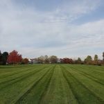 Aronia Landscape Inc