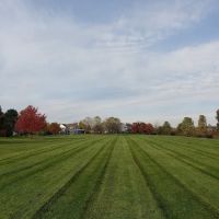 Aronia Landscape Inc ico