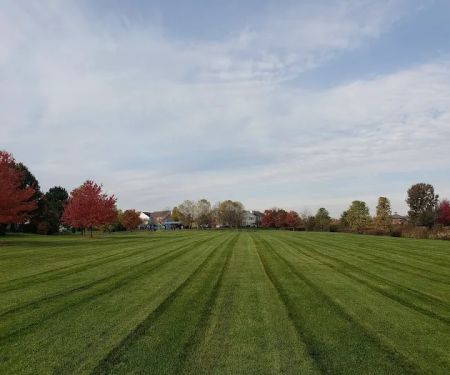 Aronia Landscape Inc