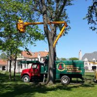 Sunnyside Landscaping & Tree Service ico