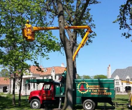 Sunnyside Landscaping & Tree Service