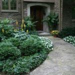 Don Fiore Co Inc