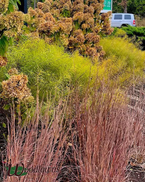 Woodlawns Landscape Co Inc Picture 8
