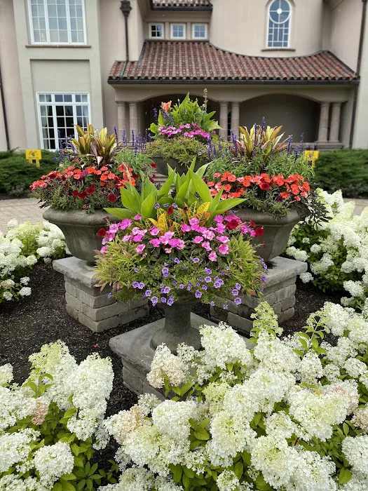 Root & Stem, Inc Picture 2