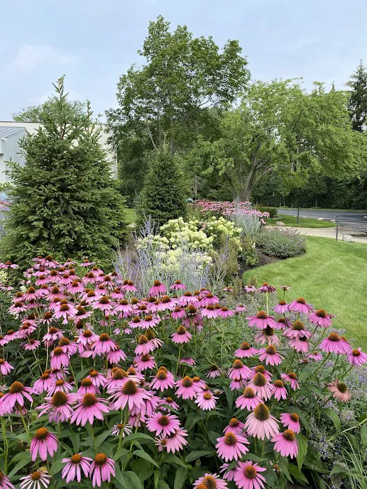 Root & Stem, Inc Picture 6