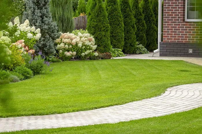 Root & Stem, Inc Picture 9