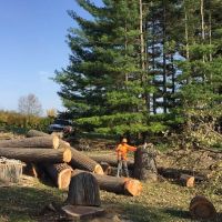 Gabriel's Landscape & Tree Services Inc. ico
