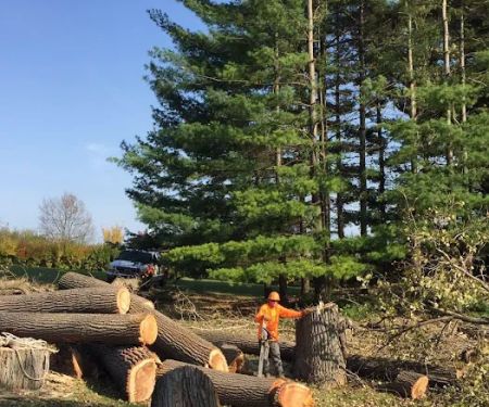 Gabriel's Landscape & Tree Services Inc.