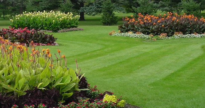 Grounds Group Picture 2