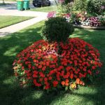 Herrera Landscaping & Design Inc.