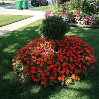 Herrera Landscaping & Design Inc. ico