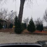 D J's Lawn Care