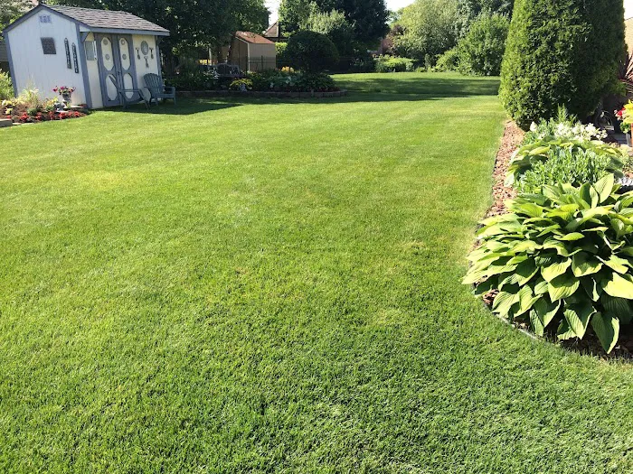 Infinity Lawn & Landscaping Picture 9
