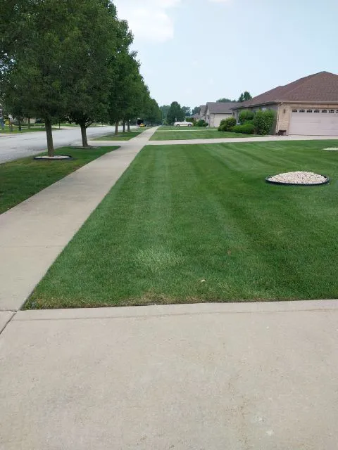 Suburban Landscaping Picture 6