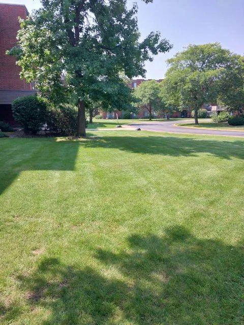 Suburban Landscaping Picture 1
