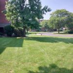 Suburban Landscaping