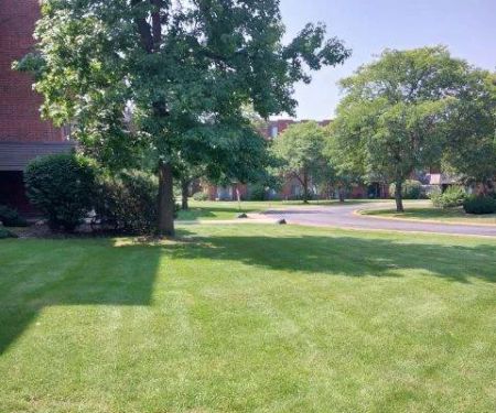 Suburban Landscaping