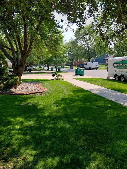 Suburban Landscaping Picture 2