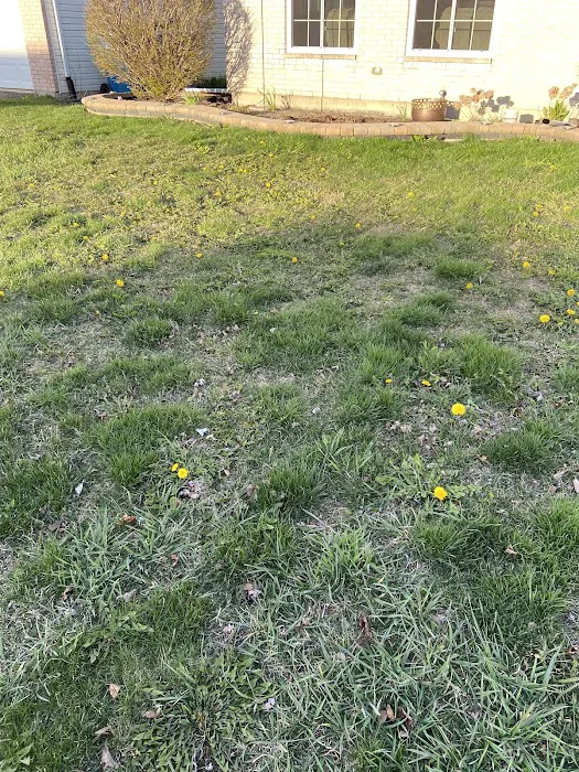 Suburban Landscaping Picture 9