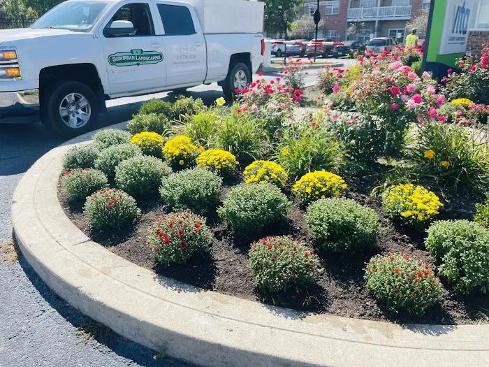 Suburban Landscaping Picture 3