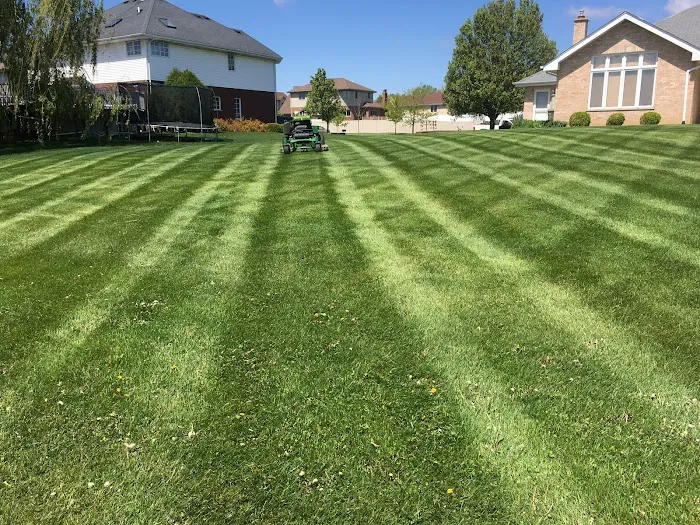 Crew Cut Lawn & Landscape Picture 8