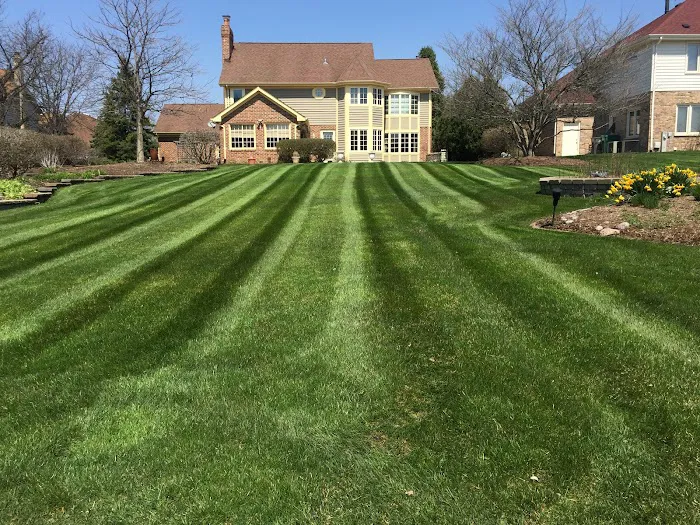 Crew Cut Lawn & Landscape Picture 7