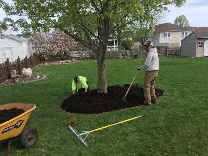 Crew Cut Lawn & Landscape Picture 4