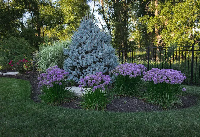 Cutting Edge Lawn & Landscape Picture 4