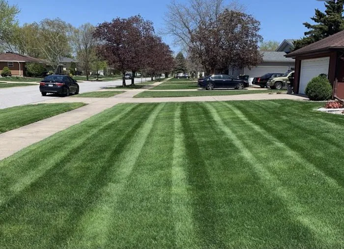 Matt's Lawn Care & Landscaping Picture 2
