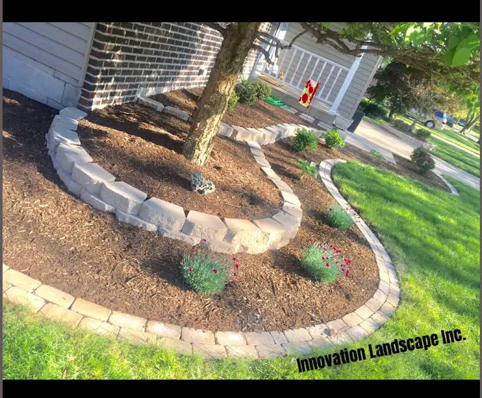 Innovation Landscape Inc Picture 10
