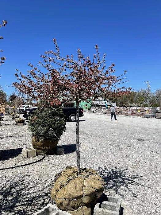 Allen Landscape Centre Picture 9