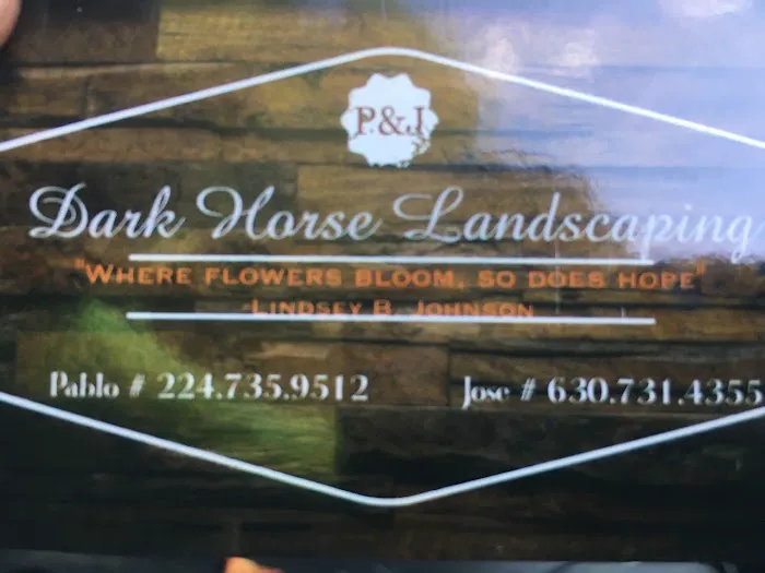 Dark Horses Landscaping Picture 1